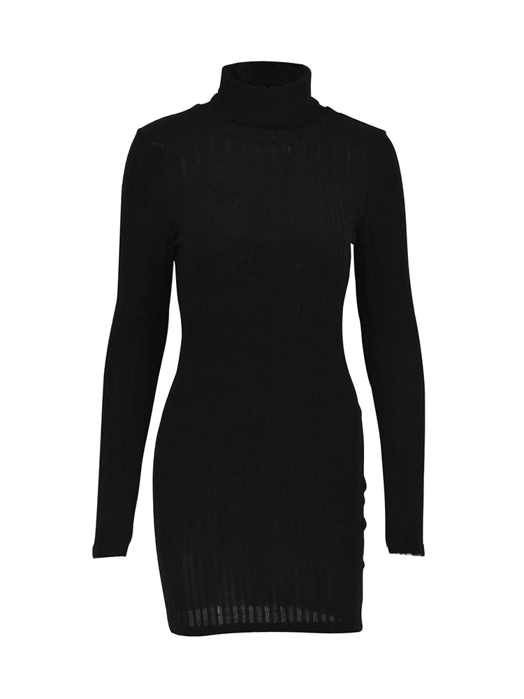 Women's Mini Dress™  Black Solid Turtleneck Long Sleeves Sheath Elegant Bodycon Party Dress