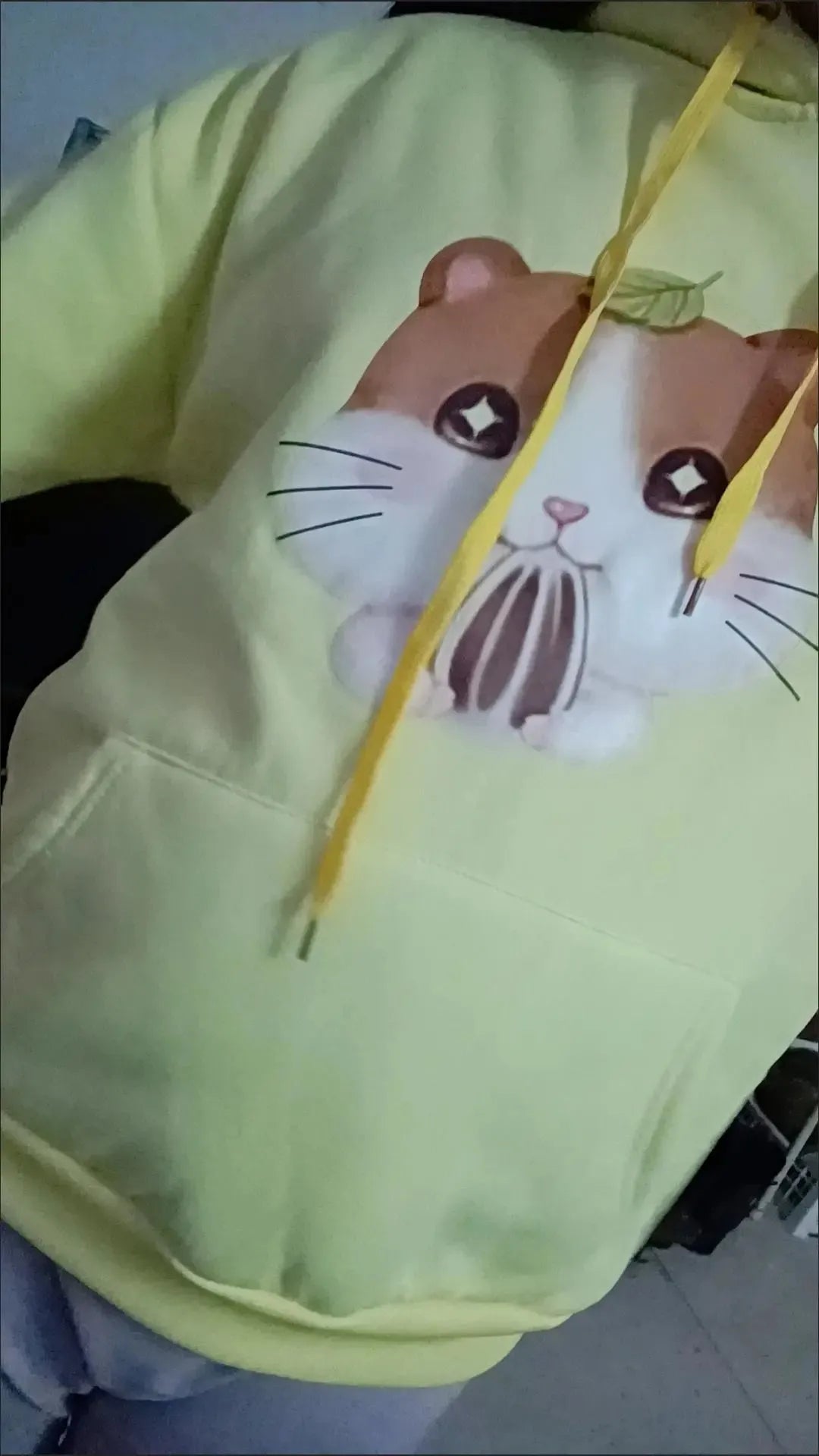 Women's Lamb Wool Pullovers™ Velvet Cartoon Hoodies