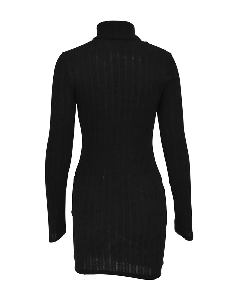 Women's Mini Dress™  Black Solid Turtleneck Long Sleeves Sheath Elegant Bodycon Party Dress