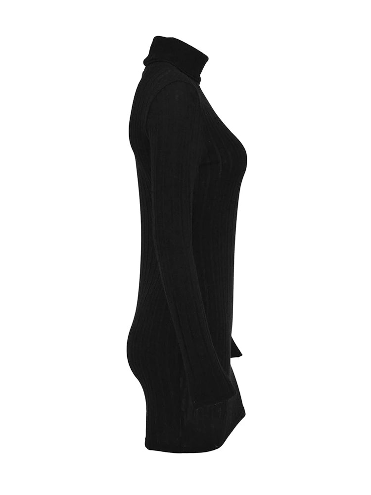 Women's Mini Dress™  Black Solid Turtleneck Long Sleeves Sheath Elegant Bodycon Party Dress