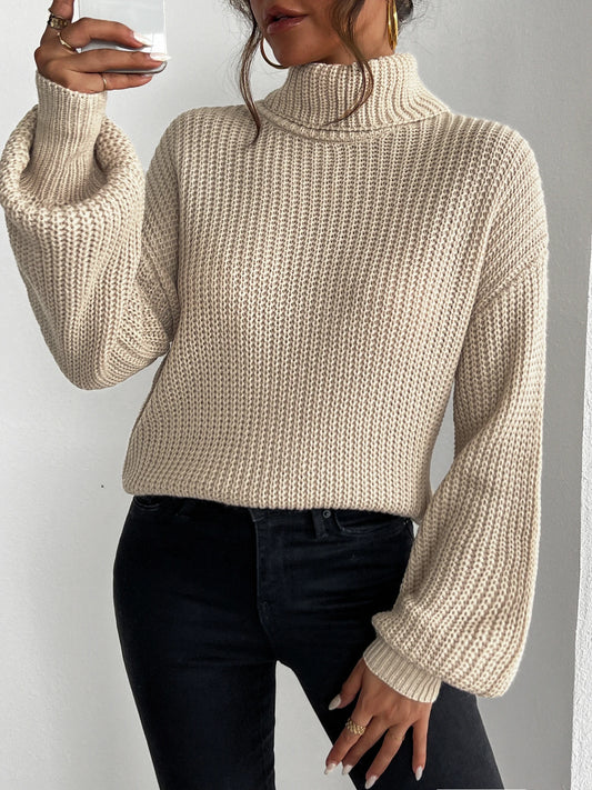 Women's autumn and winter pullover™ high neck long sleeved sweater